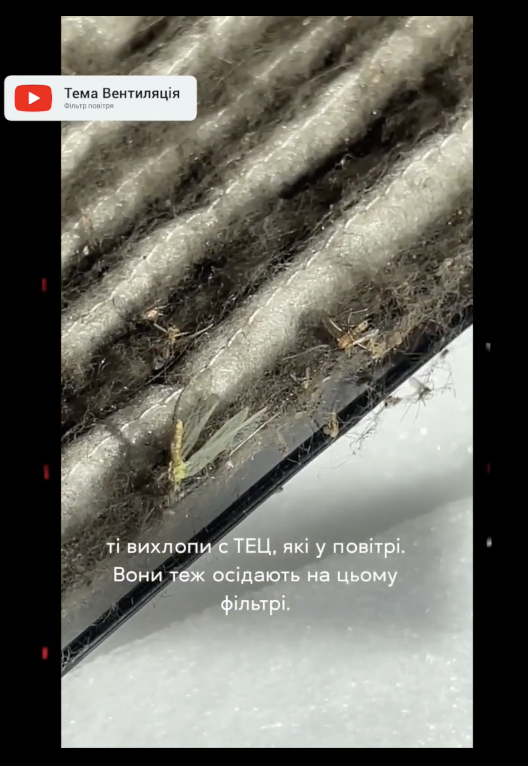 Знімок-екрана-2024-01-08-о-17.02.26